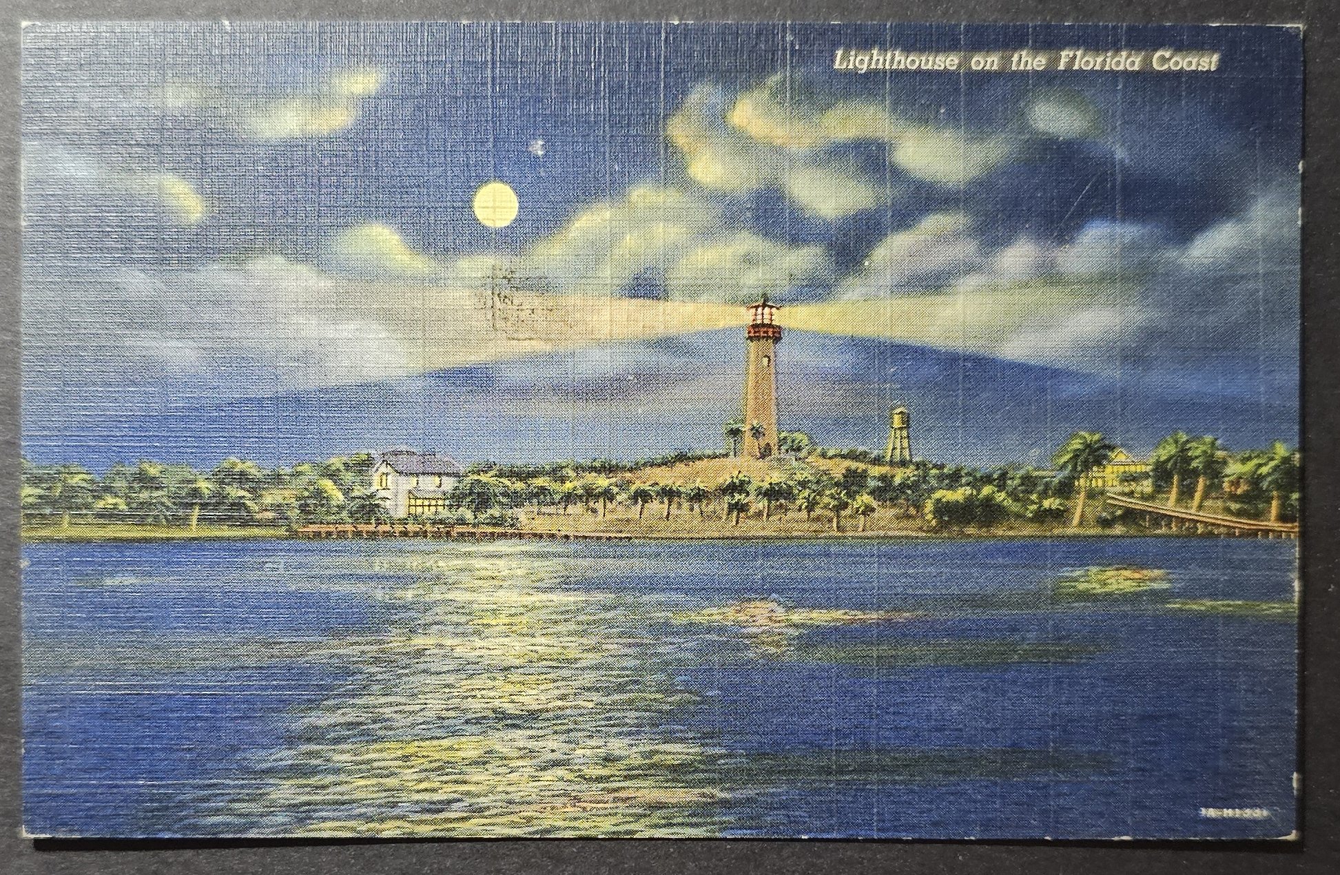 (image for) postcard USA - FL - Florida #0065